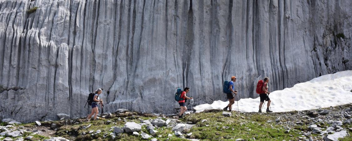 Entre minéral et végétal...(photo : D.Delvaux)